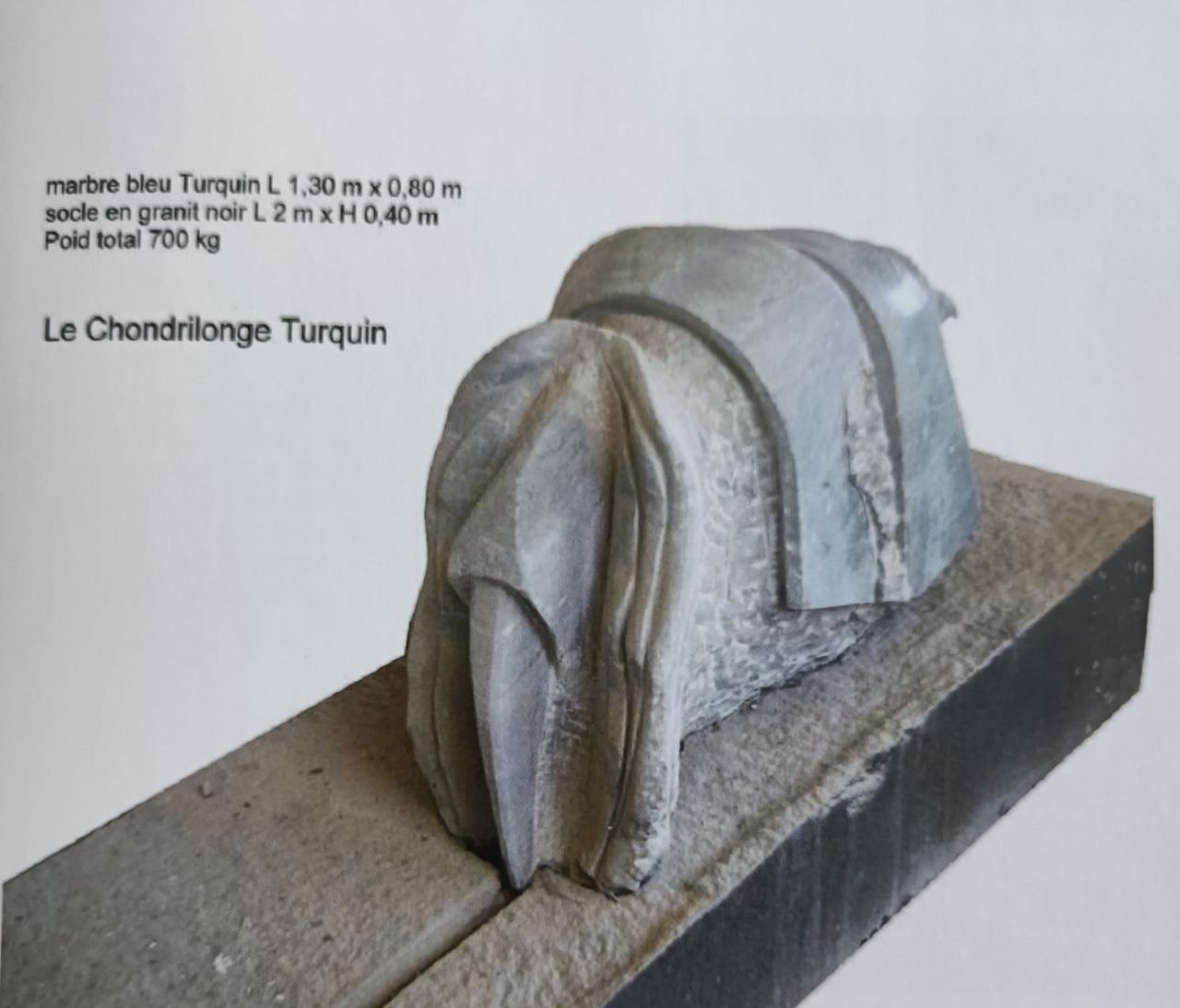 Chondrilonge n°2