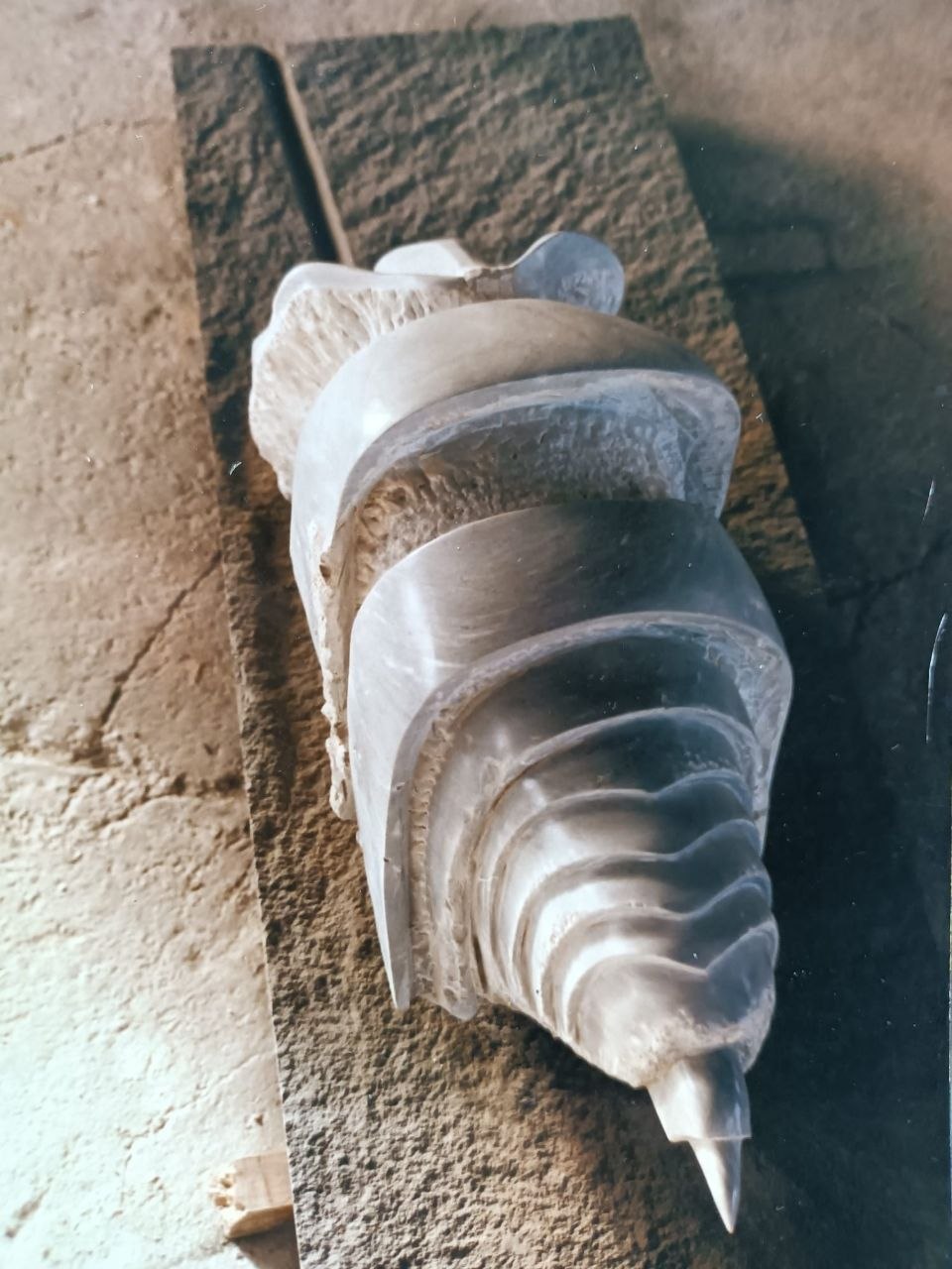 Chondrilonge n°3